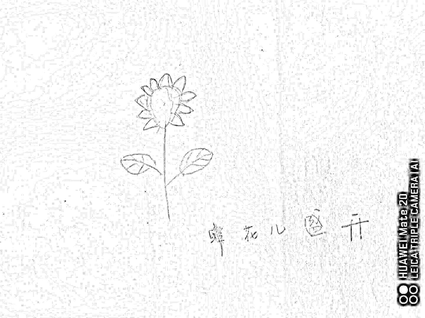 微信图片_20200604130538.jpg
