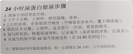 2蛋白尿.jpg