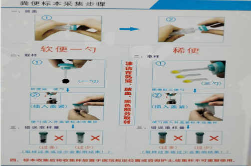 3粪便.jpg